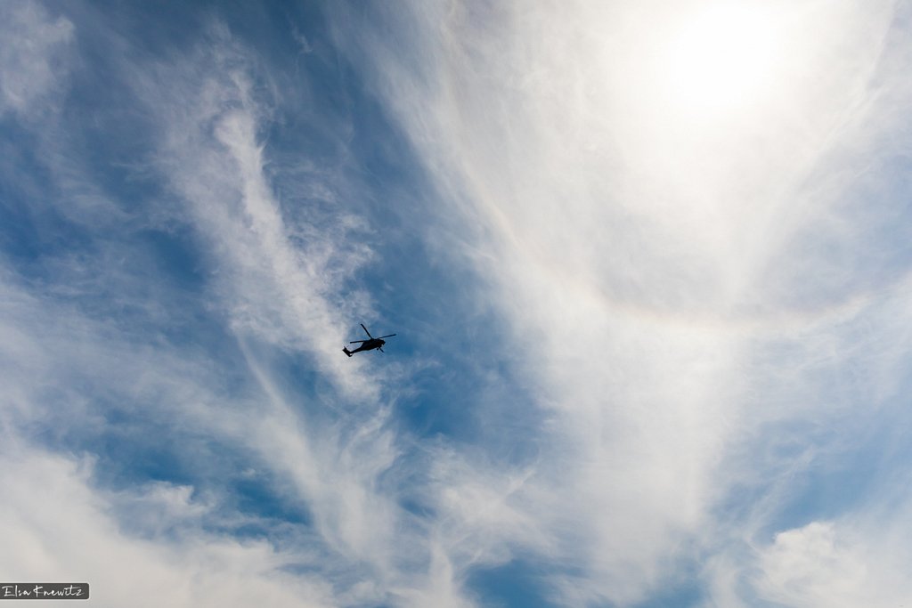 Black Hawk?