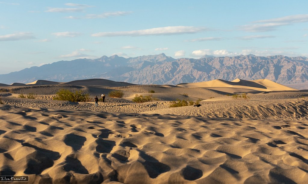 Contrasts in the Dunes