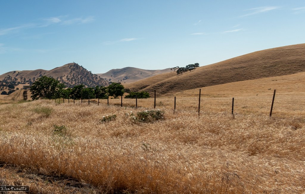 Laguna Seca, CA
